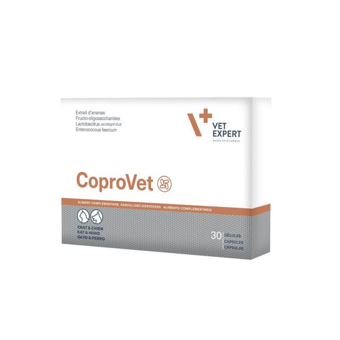 CoproVet chat, chien