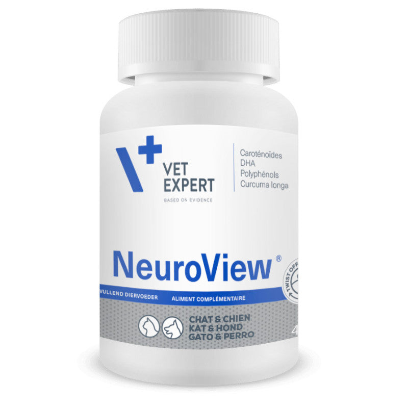 Neuroview chat, chien