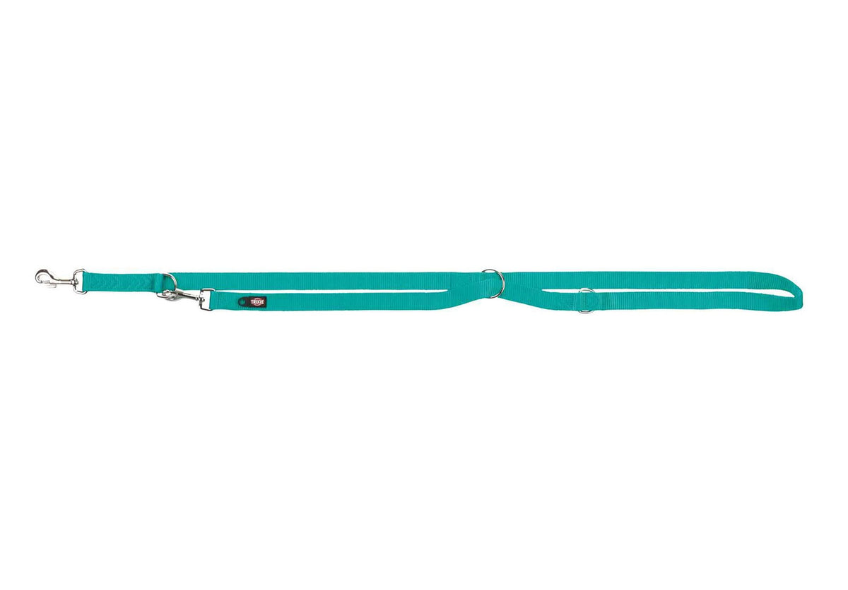 Laisse premium reglable pour chien