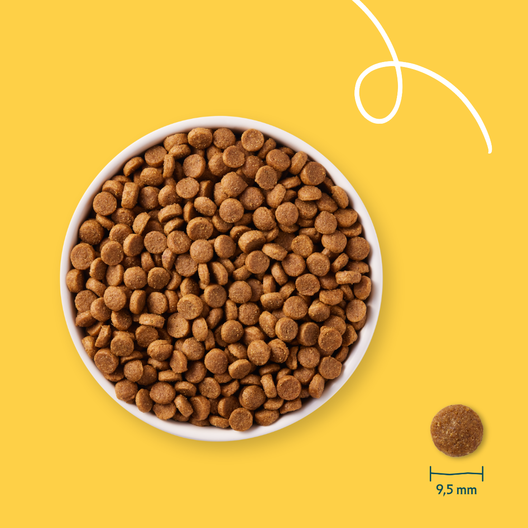 Yarrah bio petite race - croquettes chien