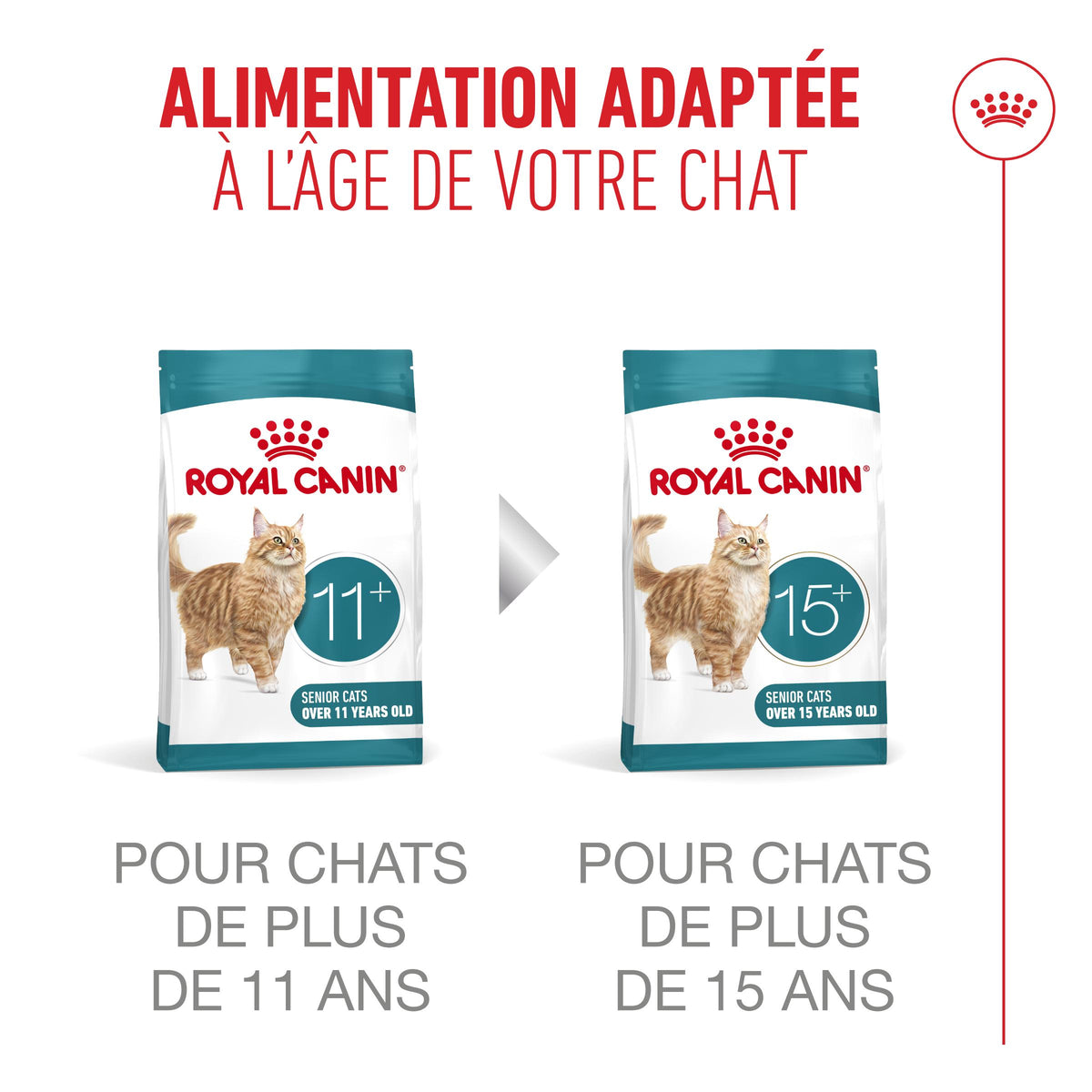 Royal Canin Ageing 11+ - croquettes chat