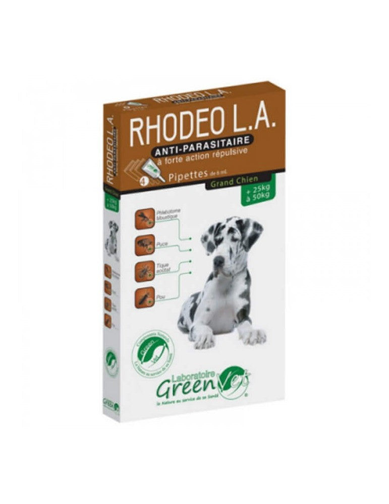 Rhodeo L.A. chien