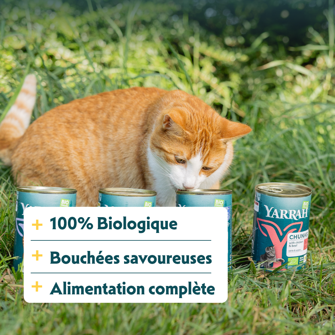 Yarrah bouchées bio - pâtée chat
