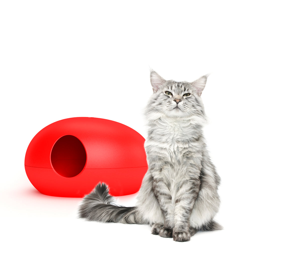 Maison de toilette Poopoopeedo chat