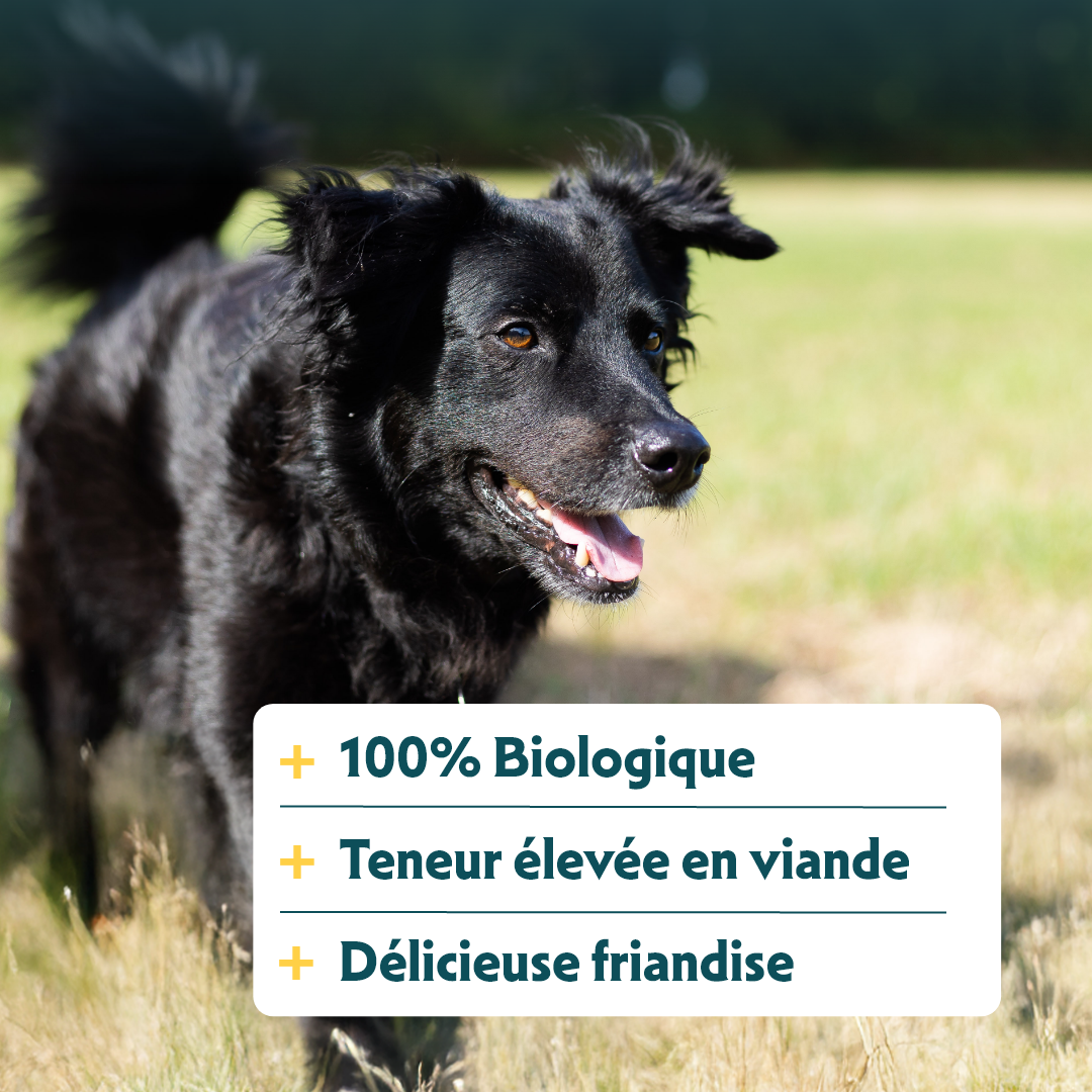 Yarrah sticks à mâcher bio chien