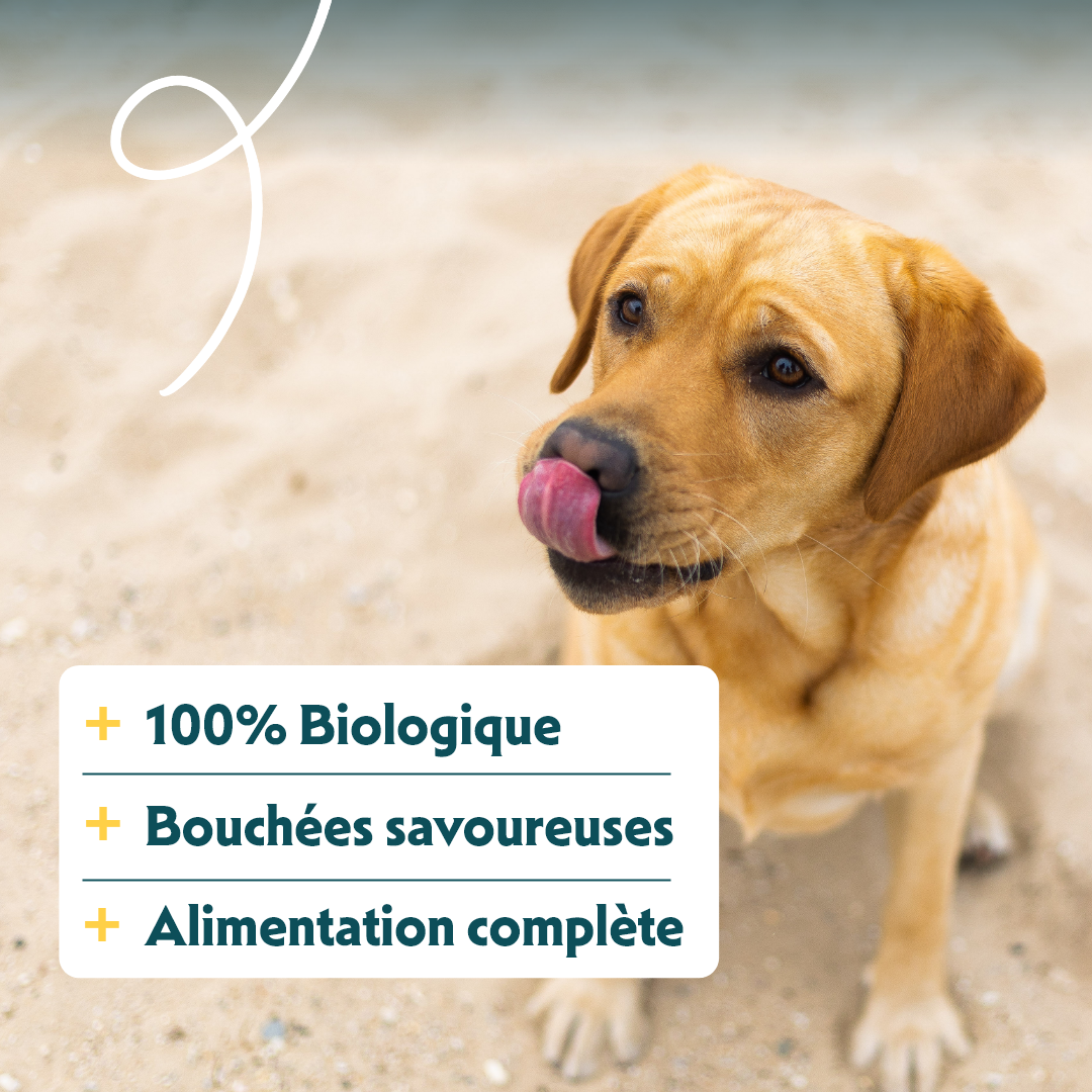 Yarrah bouchées bio - pâtée chien