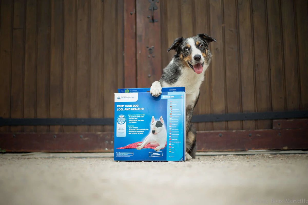 Aqua Coolkeeper Tapis rafraîchissant chien