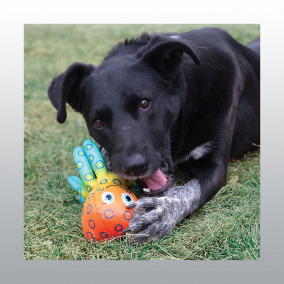 Jouet flottant Kong Shieldz Octopus chien