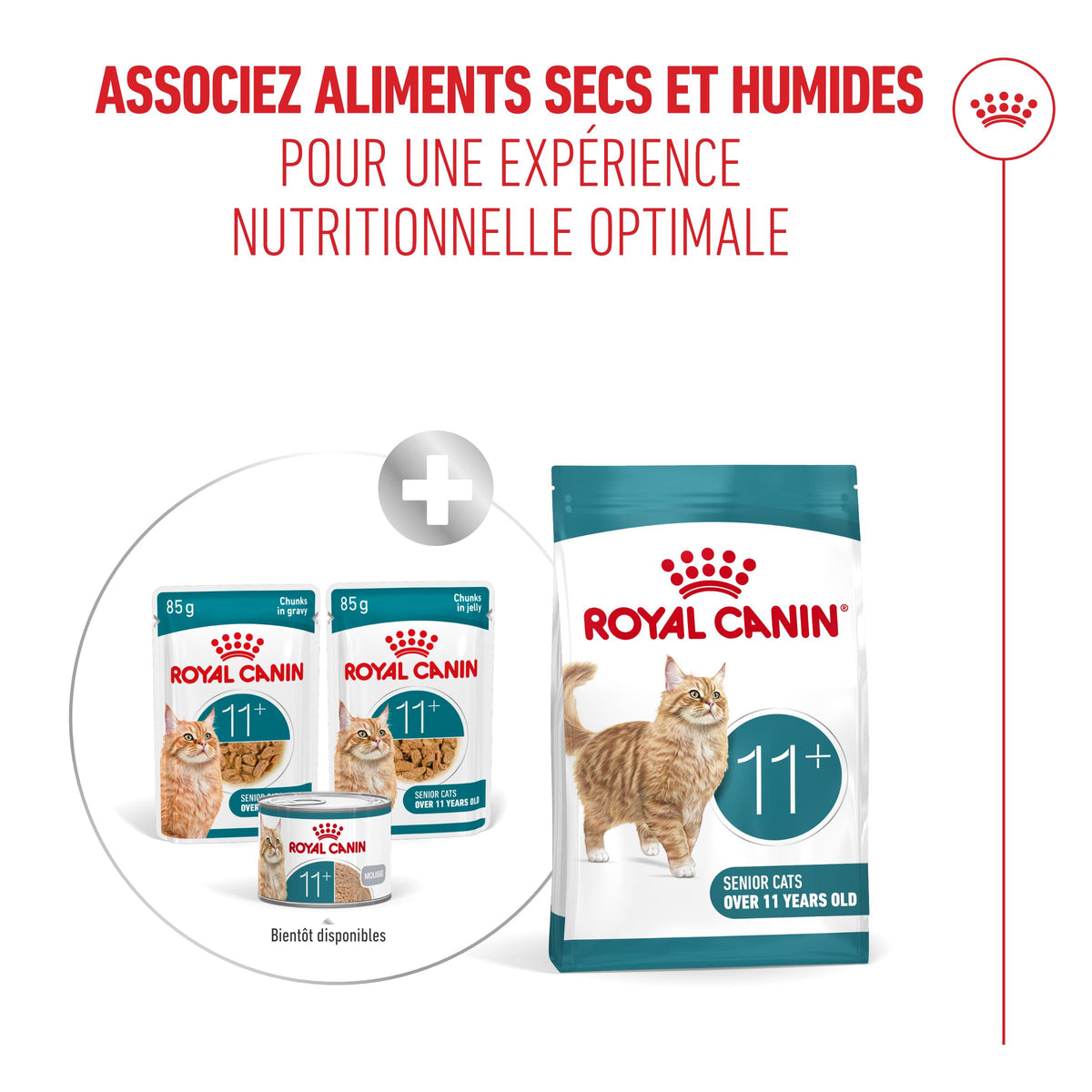 Royal Canin Ageing 11+ - pâtée chat