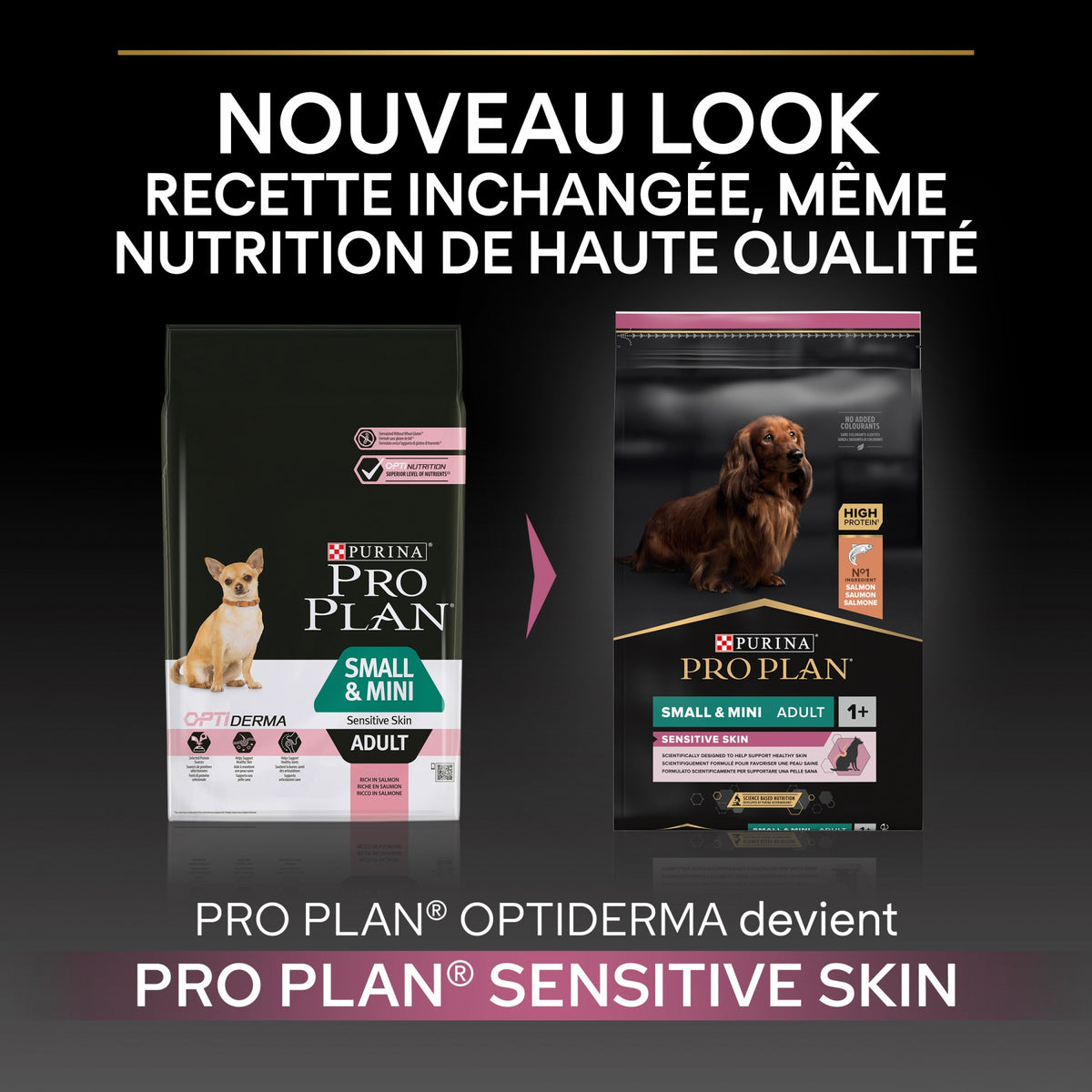 Pro Plan Sensitive Skin Small & Mini Adult au saumon - croquettes chien
