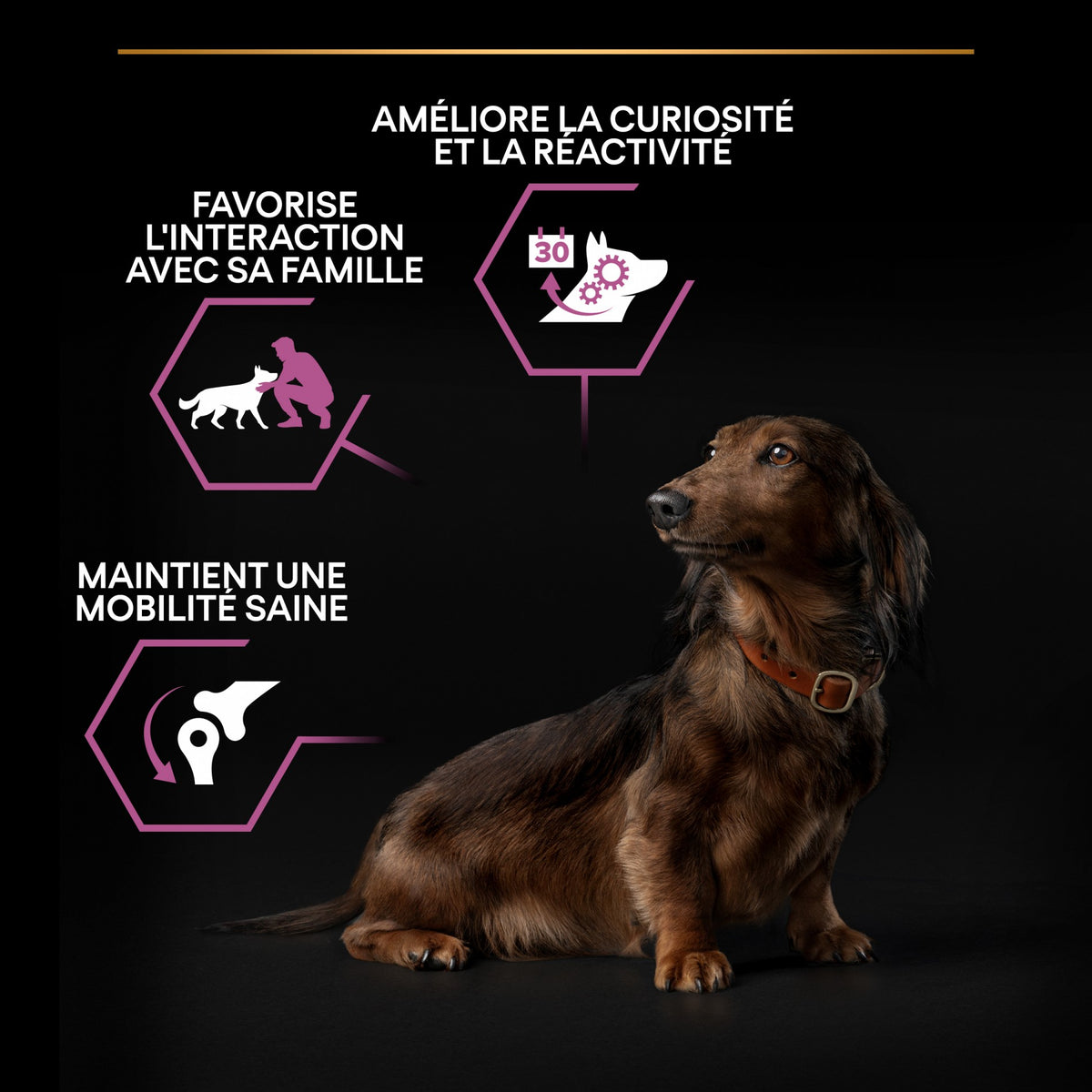 Pro Plan Age Defence Small & Mini Adult au poulet - croquettes chien