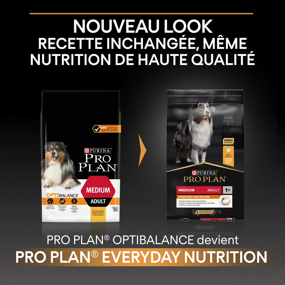 Pro Plan Everyday Nutrition Medium Adult au poulet - croquettes chien