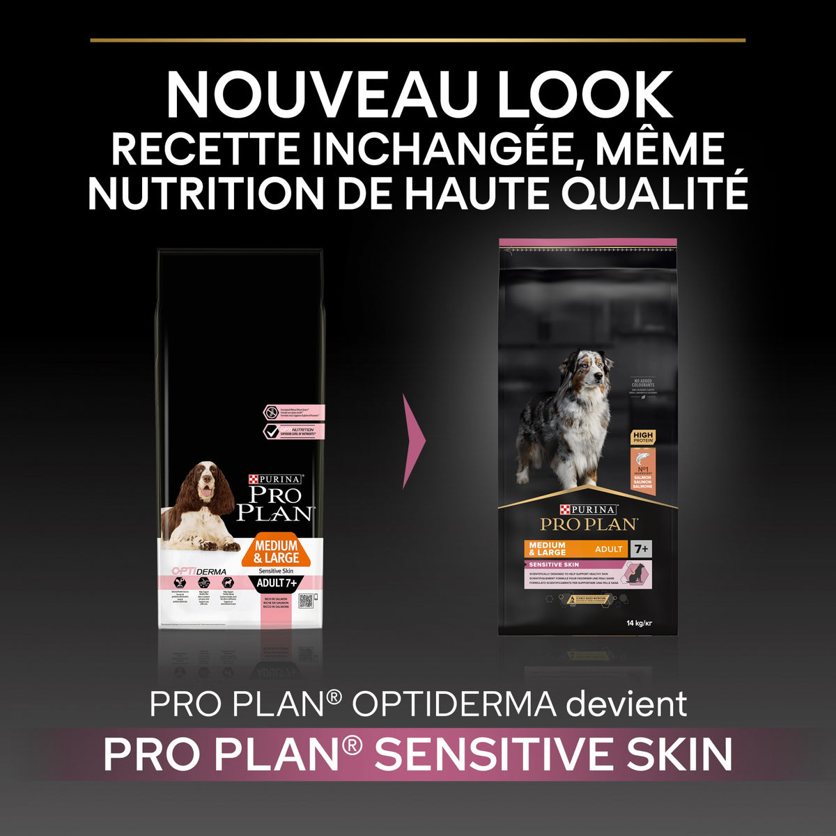 Pro Plan Sensitive Skin Medium & Large Adult au saumon - croquettes chien