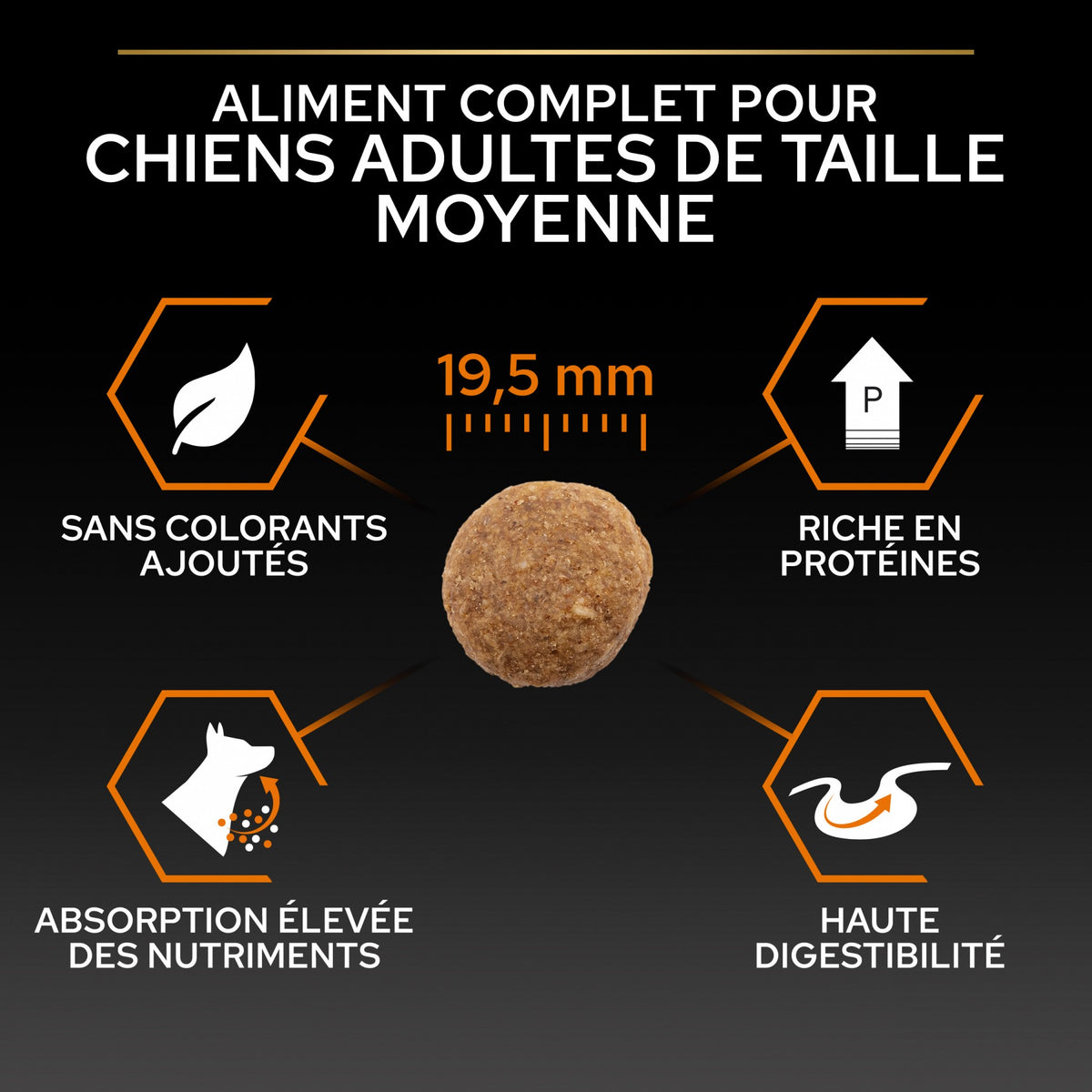 Pro Plan Everyday Nutrition Large Robust Adult au poulet - croquettes chien