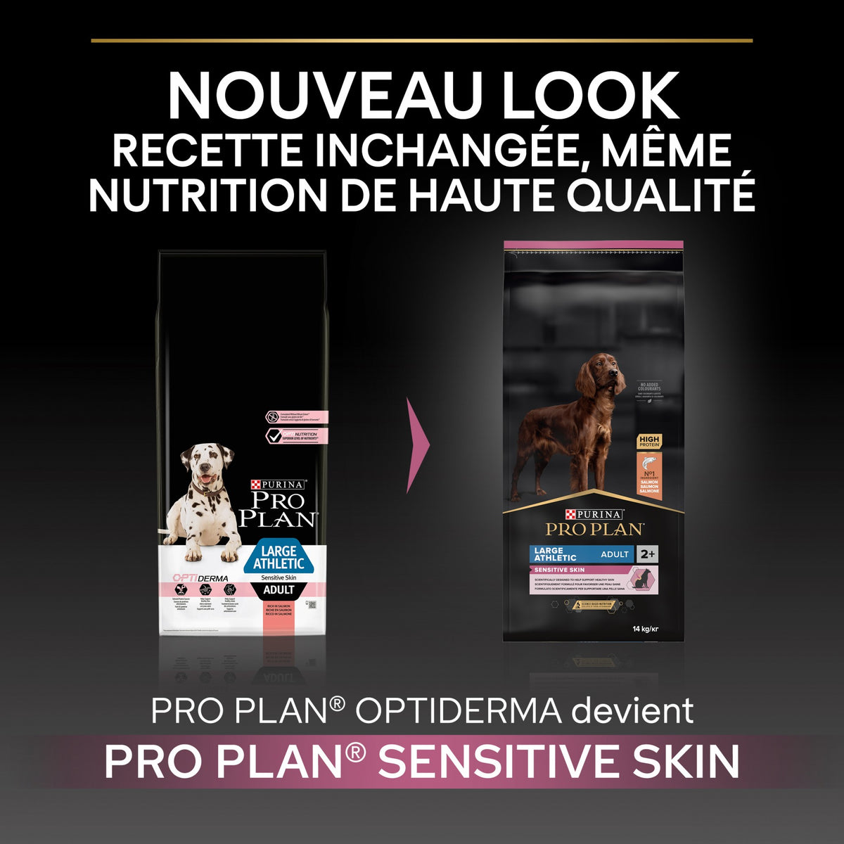 Pro Plan Sensitive Skin Large Athletic Adult au saumon - croquettes chien