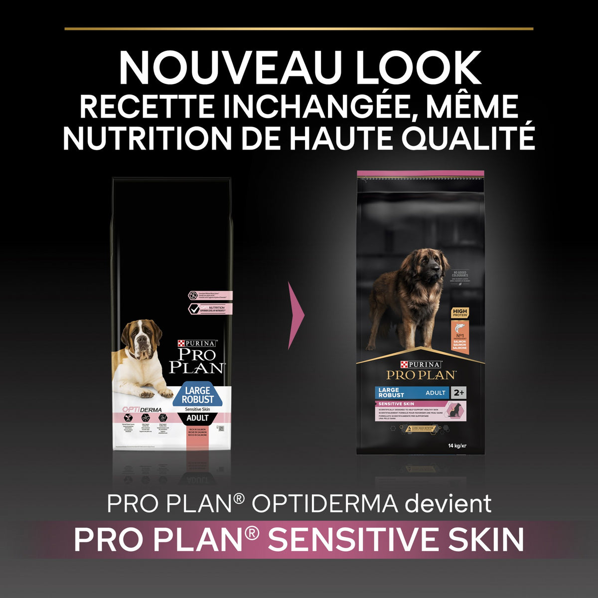 Pro Plan Sensitive Skin Large Robust Adult au saumon - croquettes chien