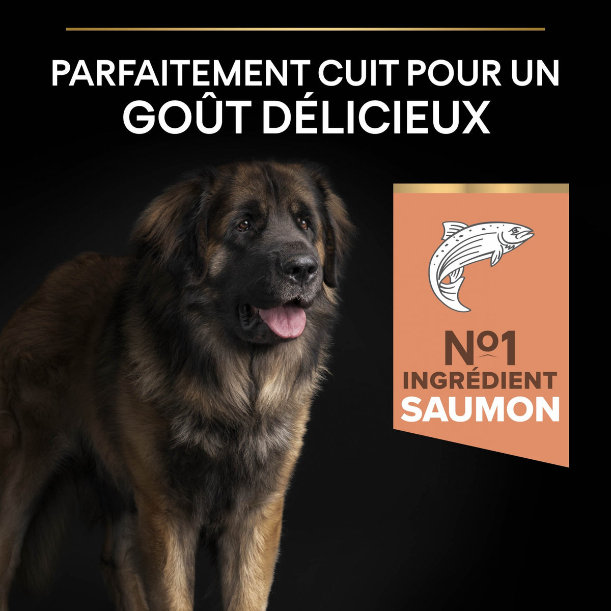 Pro Plan Sensitive Skin Large Robust Adult au saumon - croquettes chien