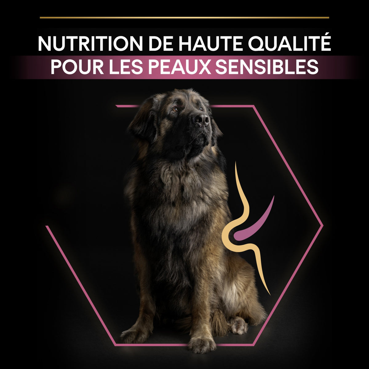 Pro Plan Sensitive Skin Large Robust Adult au saumon - croquettes chien