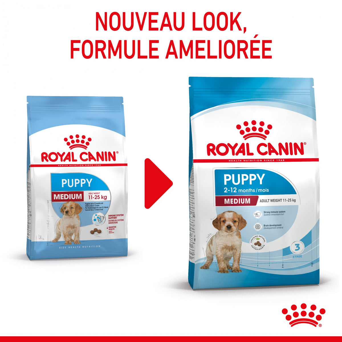 Royal Canin Medium Puppy - croquettes chiot