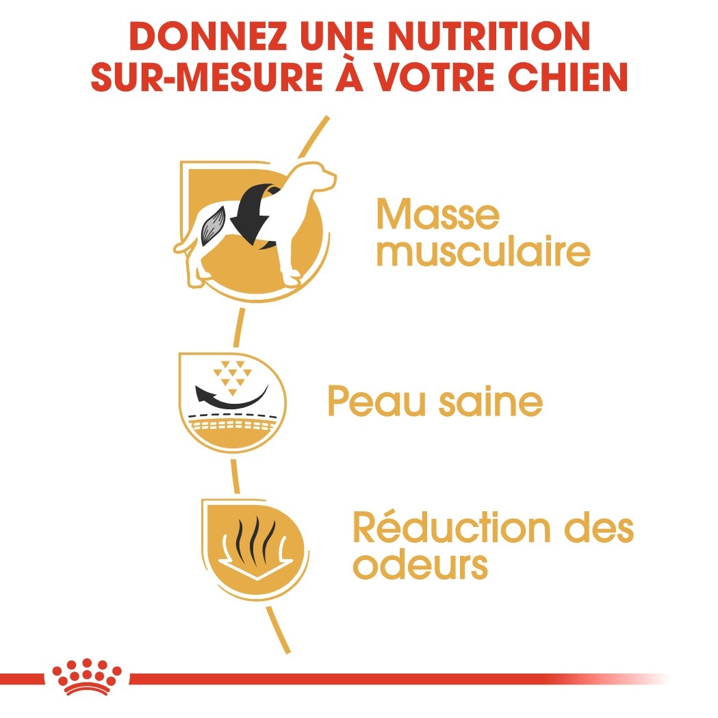 Royal Canin French Bulldog Adult - croquettes chien