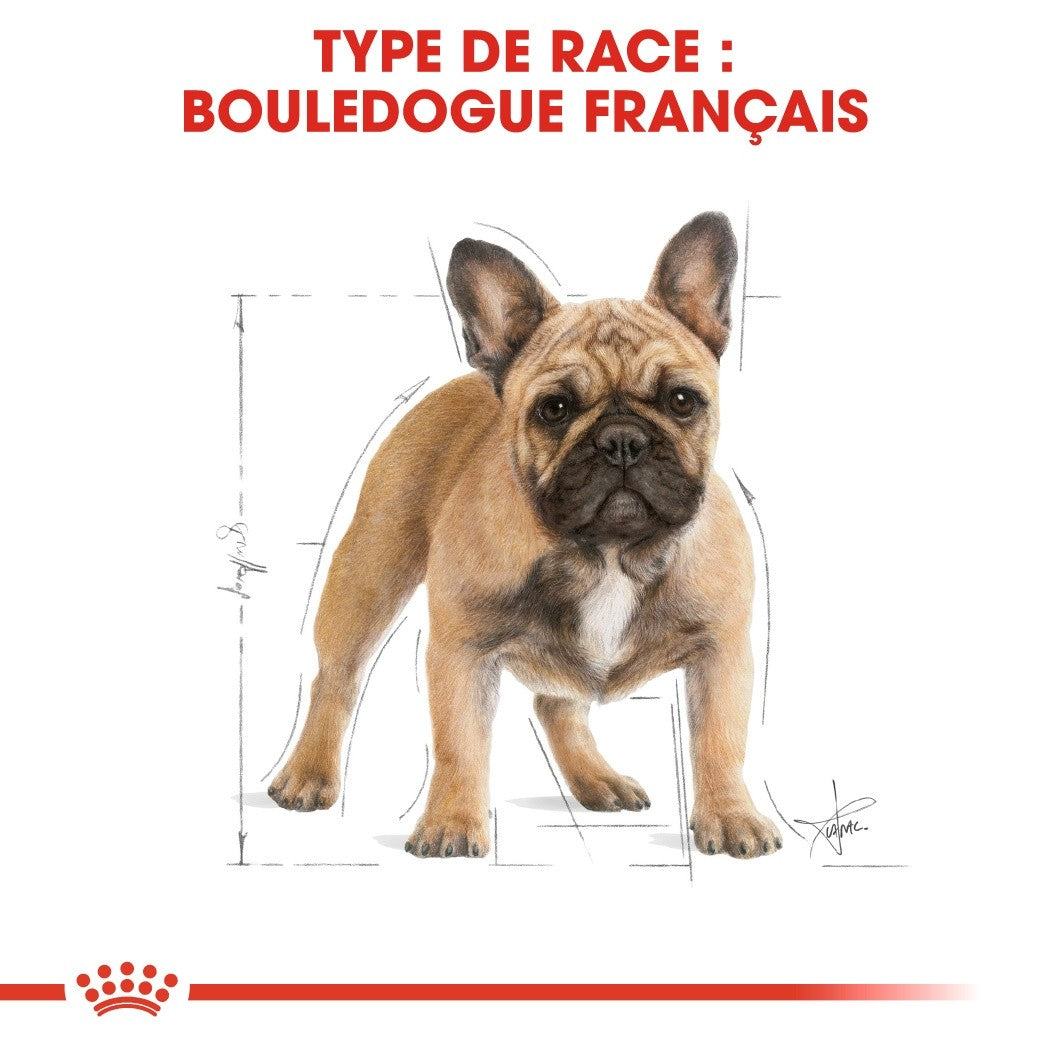 Royal Canin French Bulldog Adult - croquettes chien