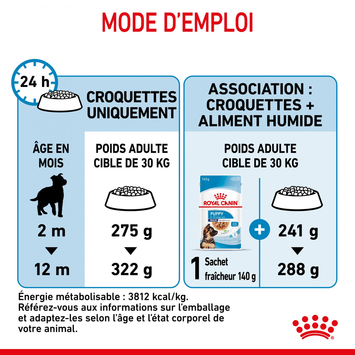 Royal Canin Maxi Puppy - Croquettes pour chiot