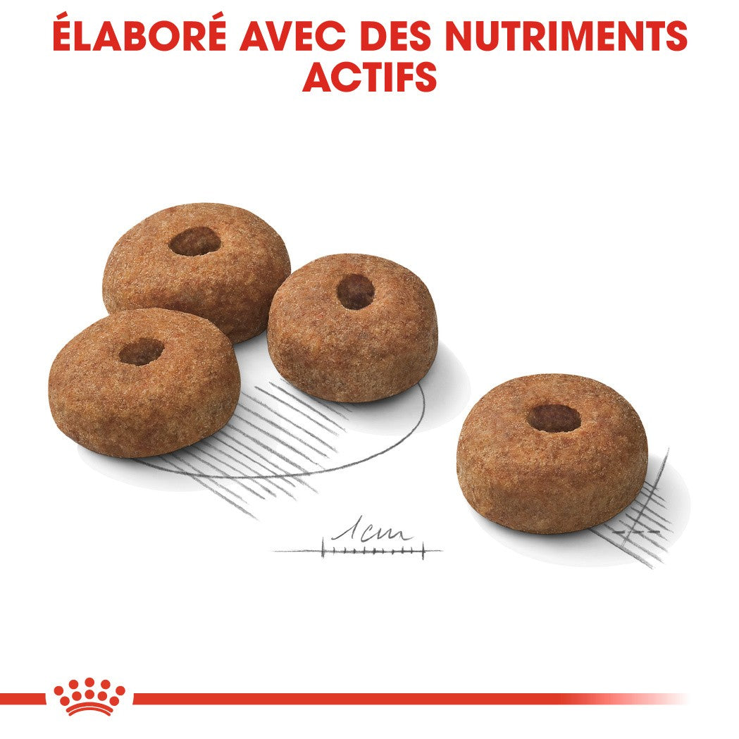 Royal Canin Maxi Sterilised - Croquettes pour chien 12kg