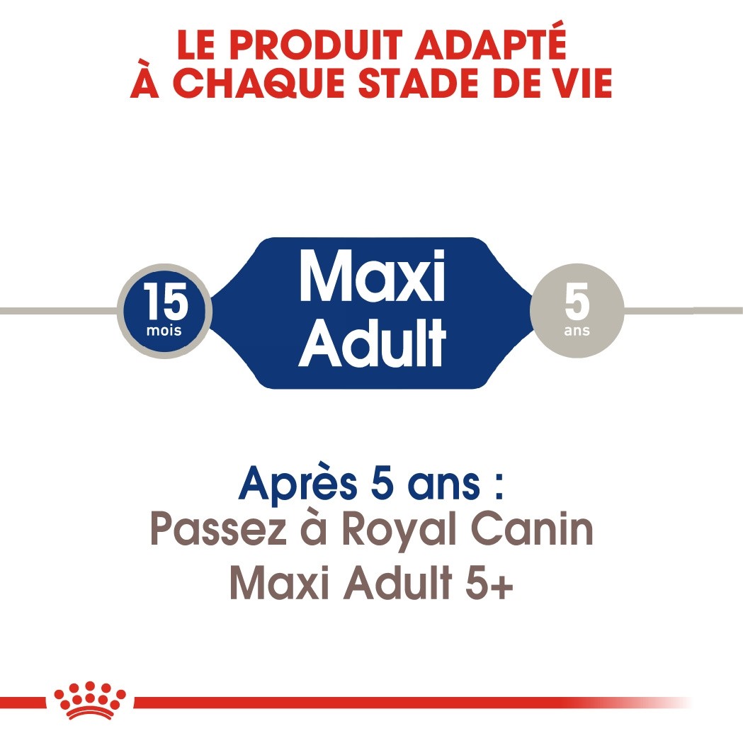 Royal Canin Maxi Adult - croquettes chien