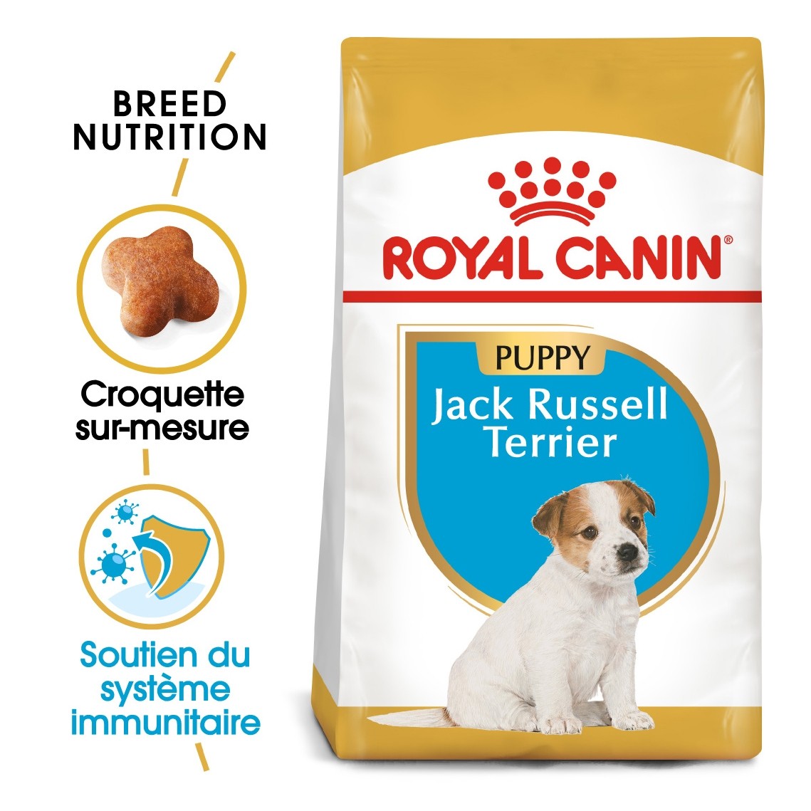 Royal Canin Jack Russell Puppy - croquettes chiot
