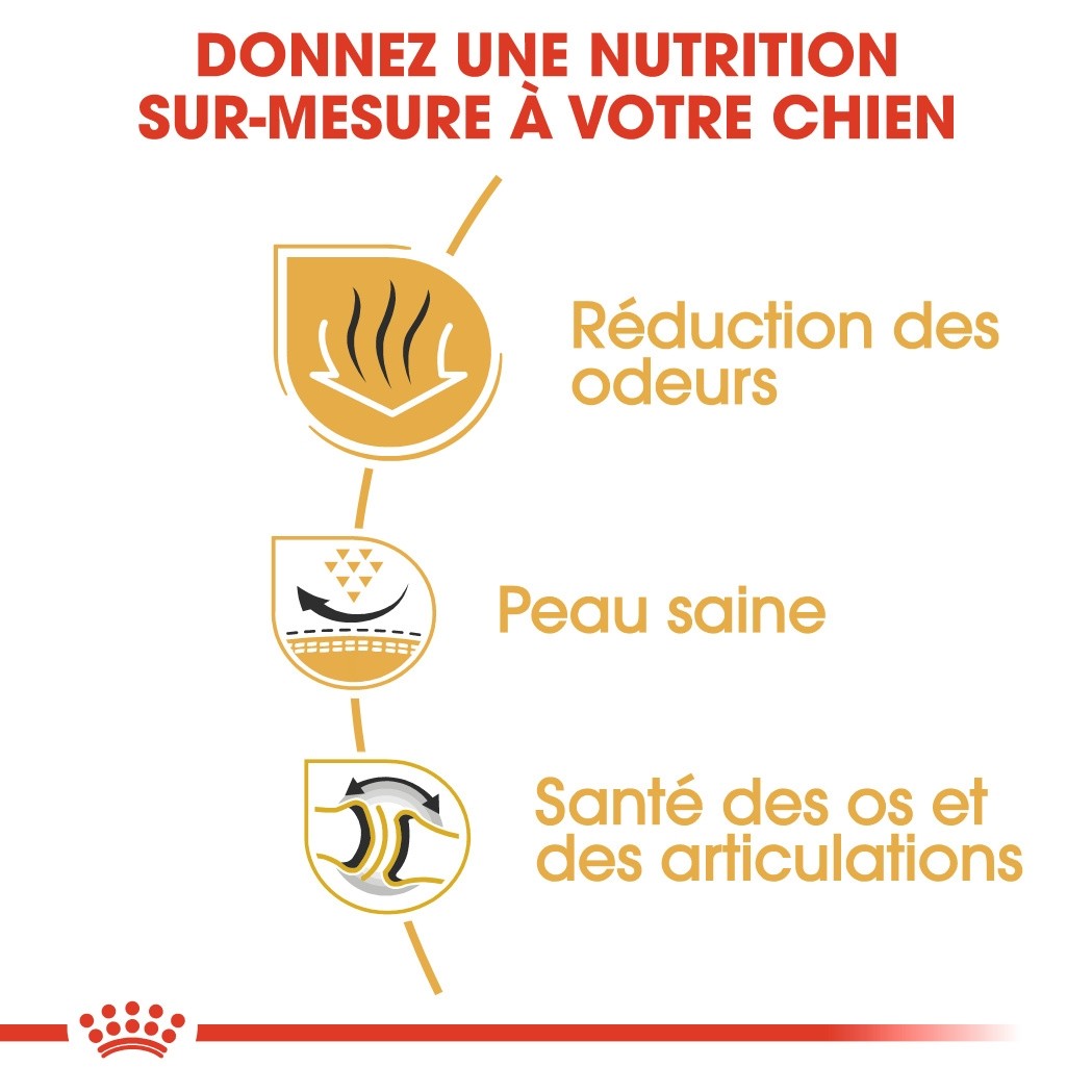 Royal Canin Bulldog Adult (Bulldog Anglais) - croquettes chien