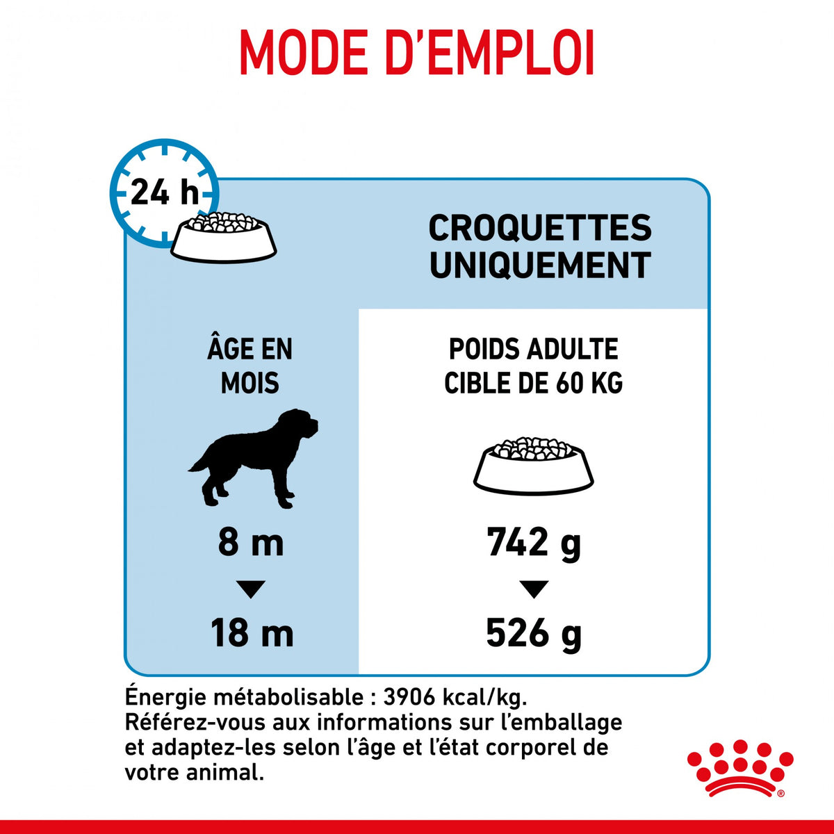 Royal Canin Giant Junior - Croquettes pour chiot