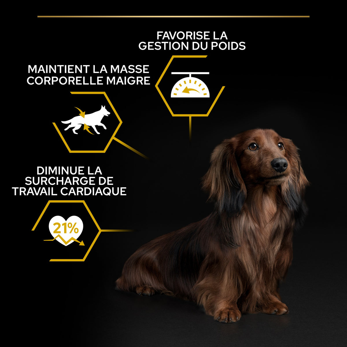 Pro Plan Light/Sterilised Small & Mini Adult au poulet - croquettes chien