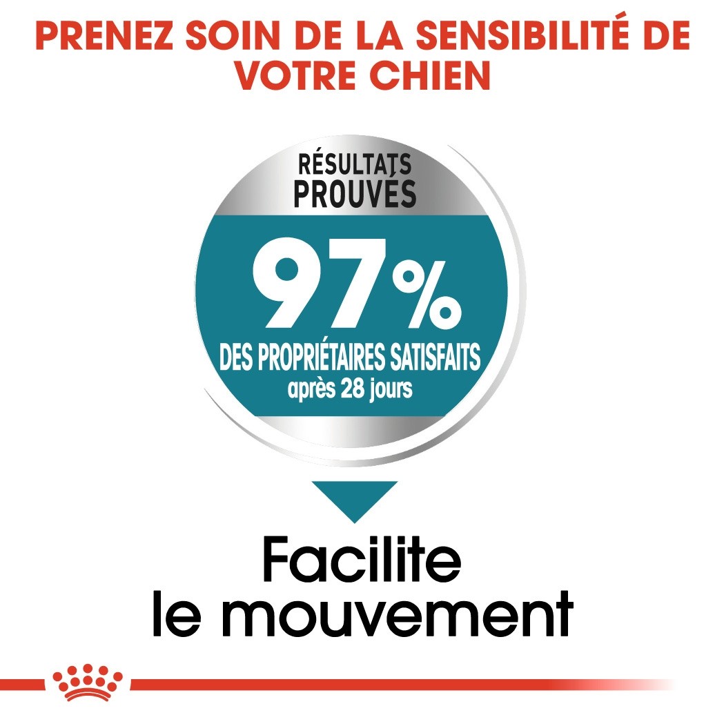 Royal Canin Maxi Joint Care - croquettes chien