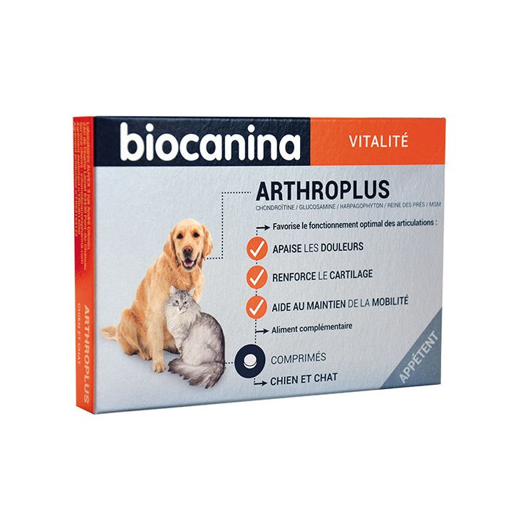 Arthroplus chien, chat