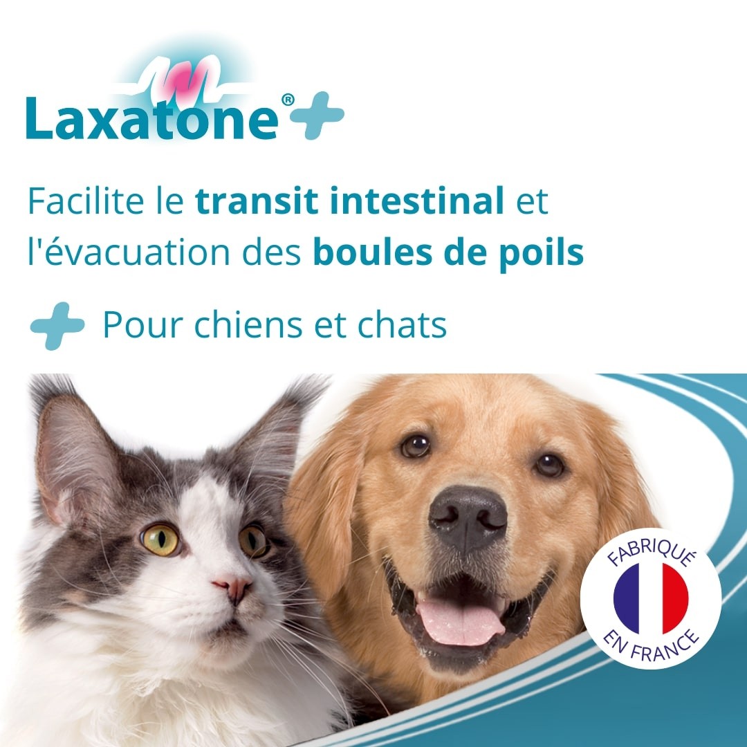 Laxatone Plus - chien, chat