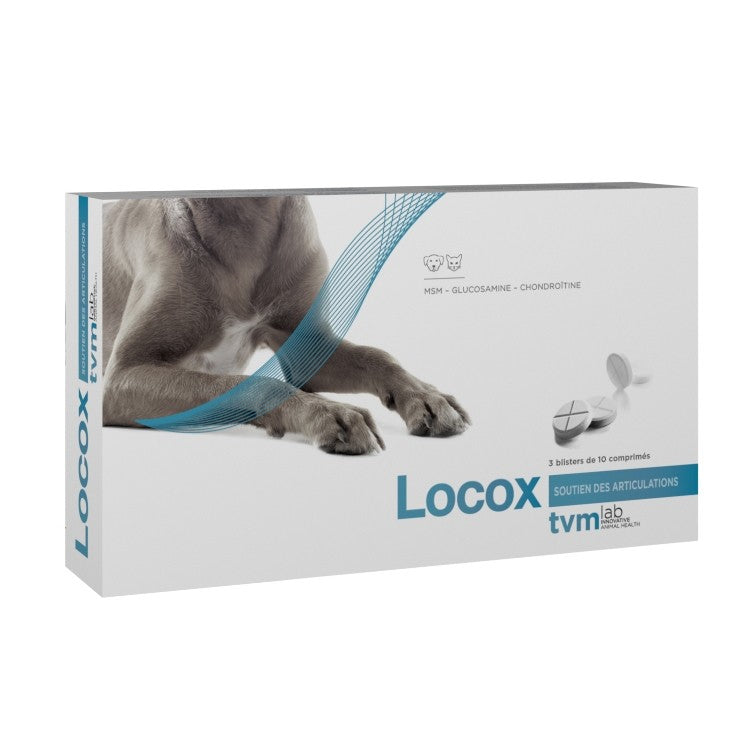 Locox - chien, chat