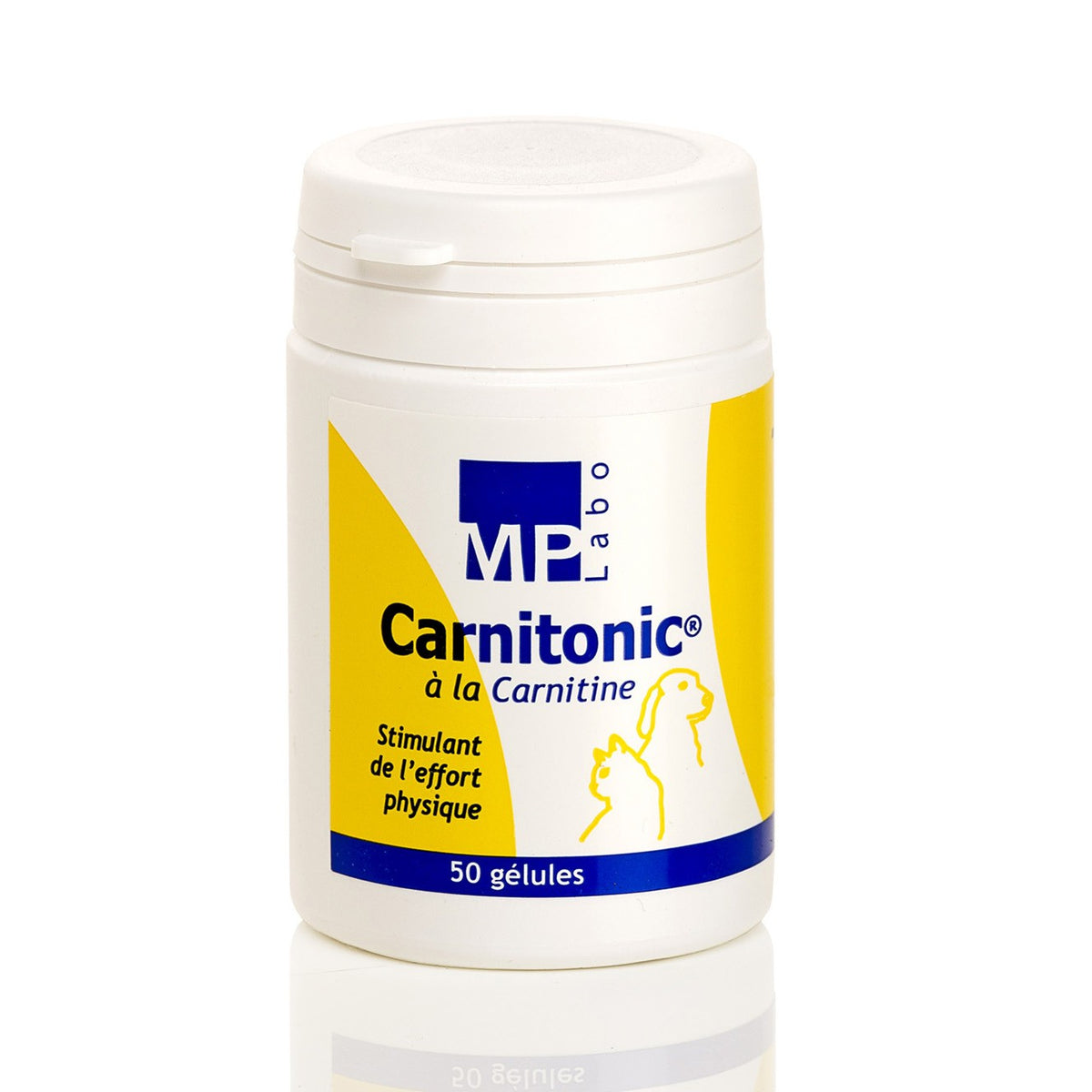 Carnitonic chat, chien