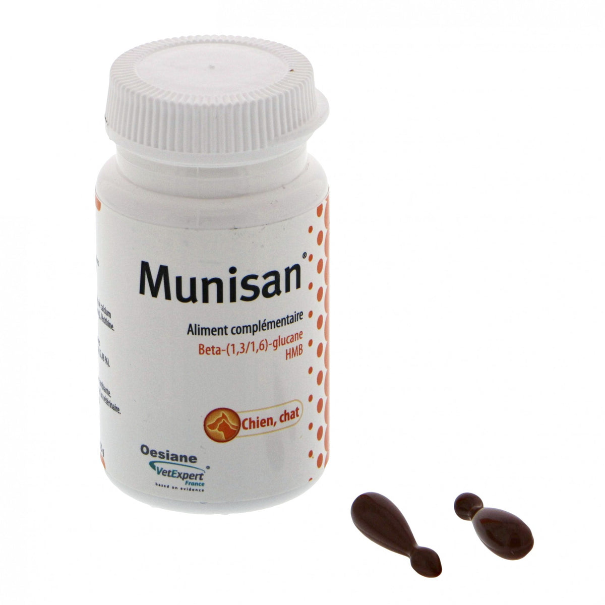 Munisan chat, chien