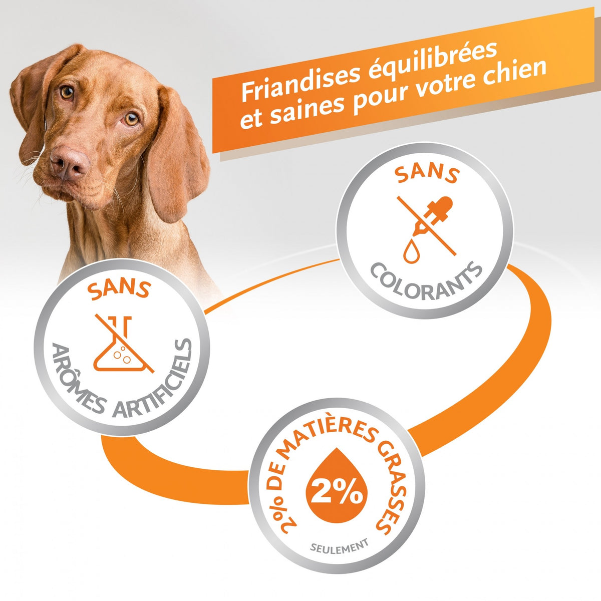 Os à mâcher 8 in 1 Delights poulet chien