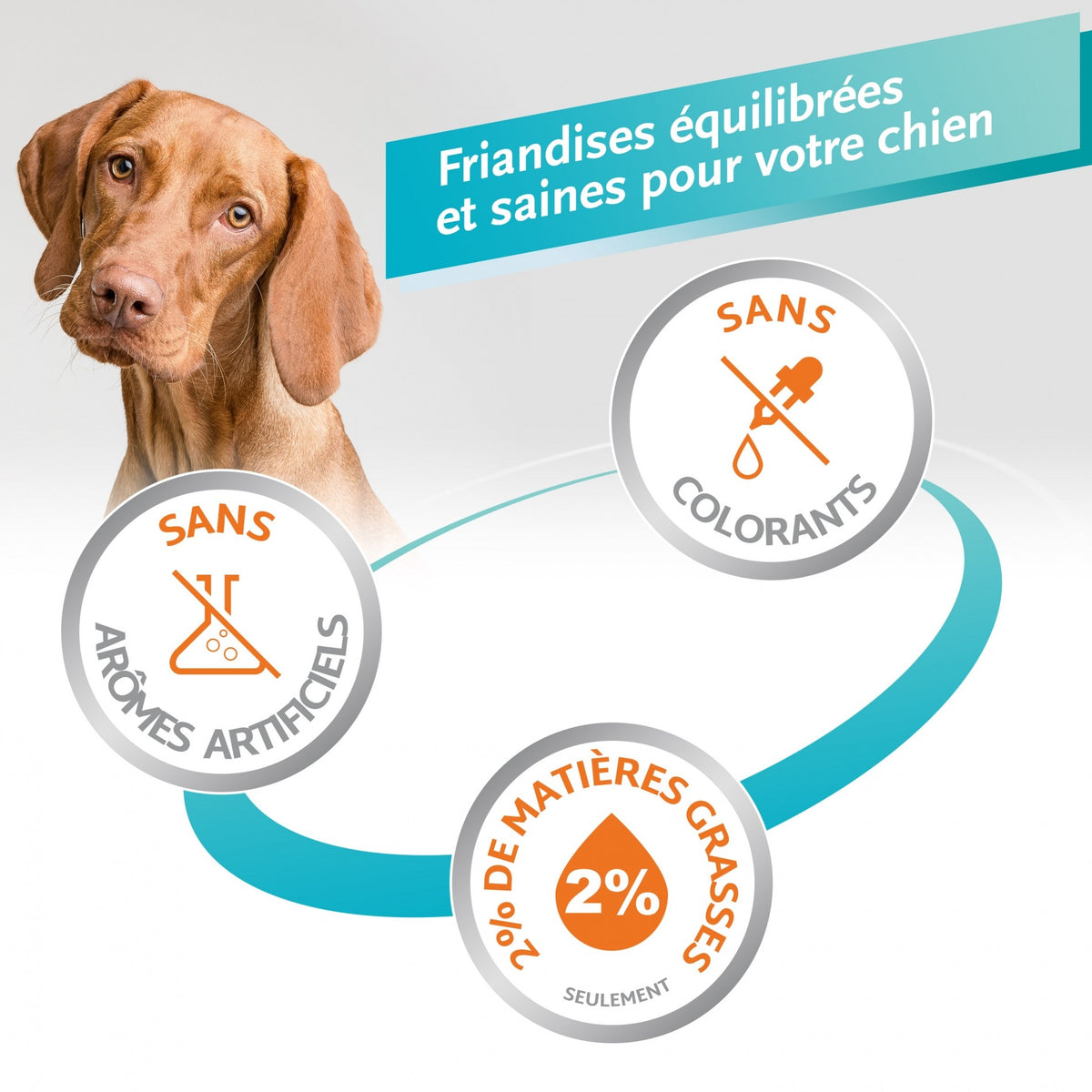 Os à mâcher Delights Pro, contre la plaque dentaire chien