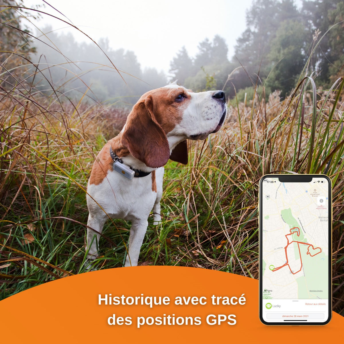 Traceur GPS Dogs 2 en temps réel chien