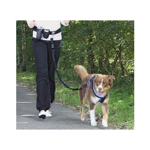 Laisse main libre chien