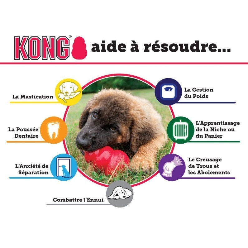 Jouet Kong chiot