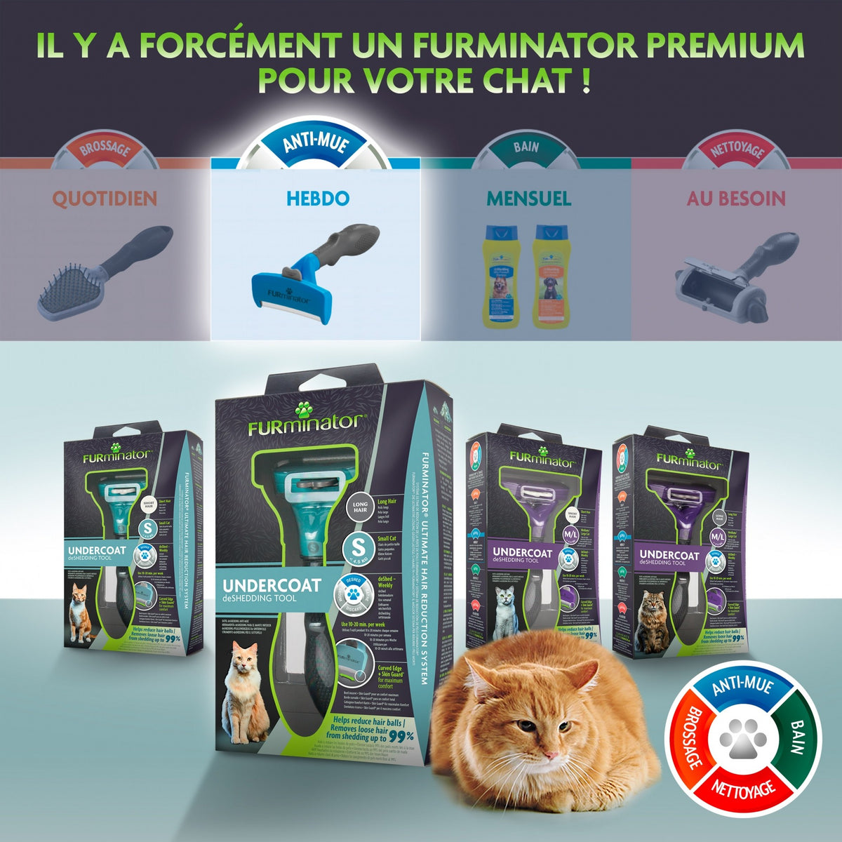 Brosse Furminator poils courts chien