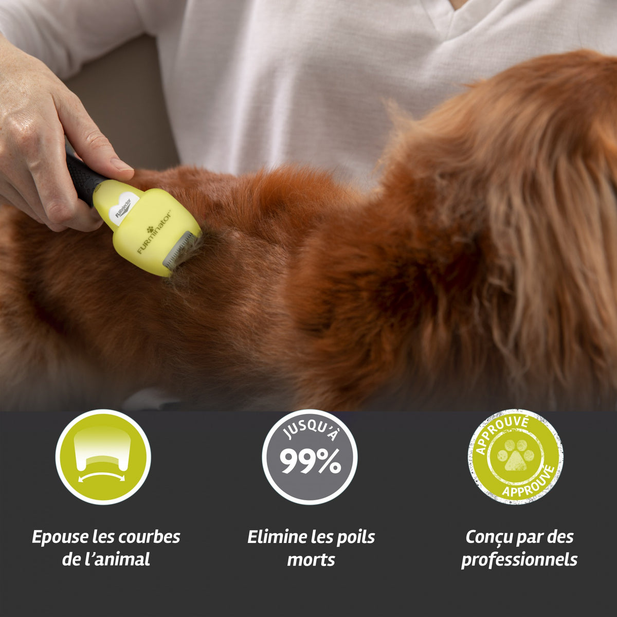 Brosse Furminator poils courts chien