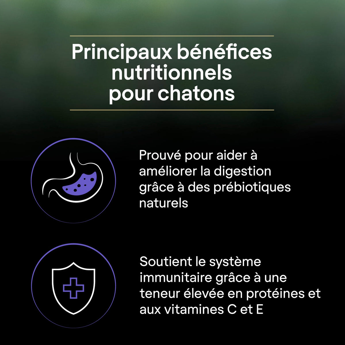 Pro Plan LiveClear Kitten à la dinde - croquettes chaton