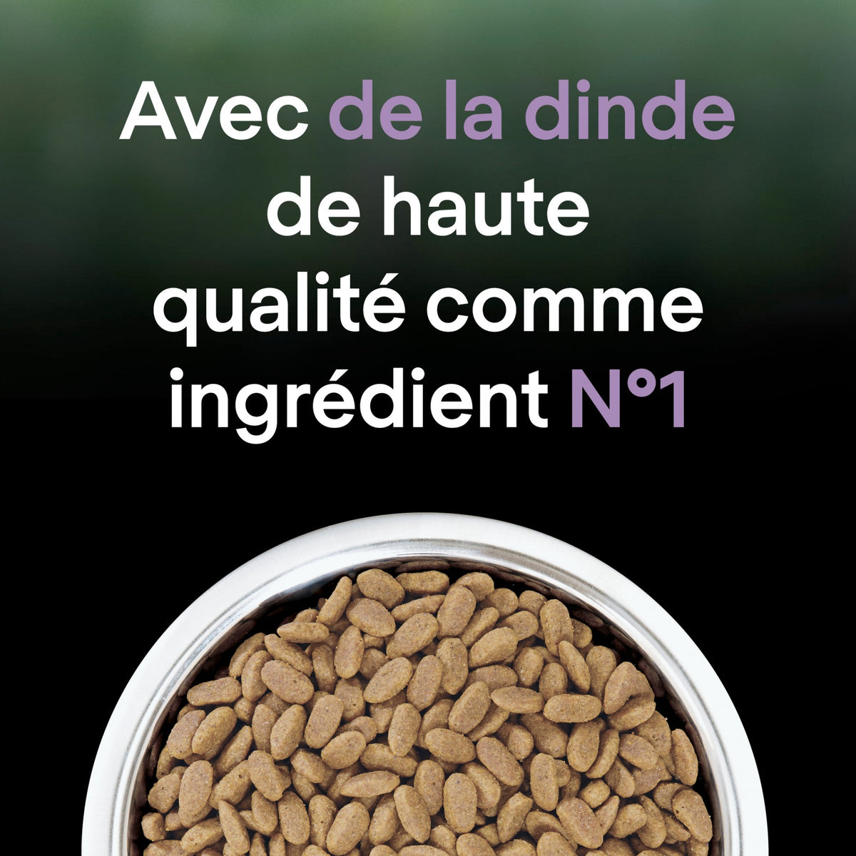 Pro Plan LiveClear Sterilised senior à la dinde - croquettes chat