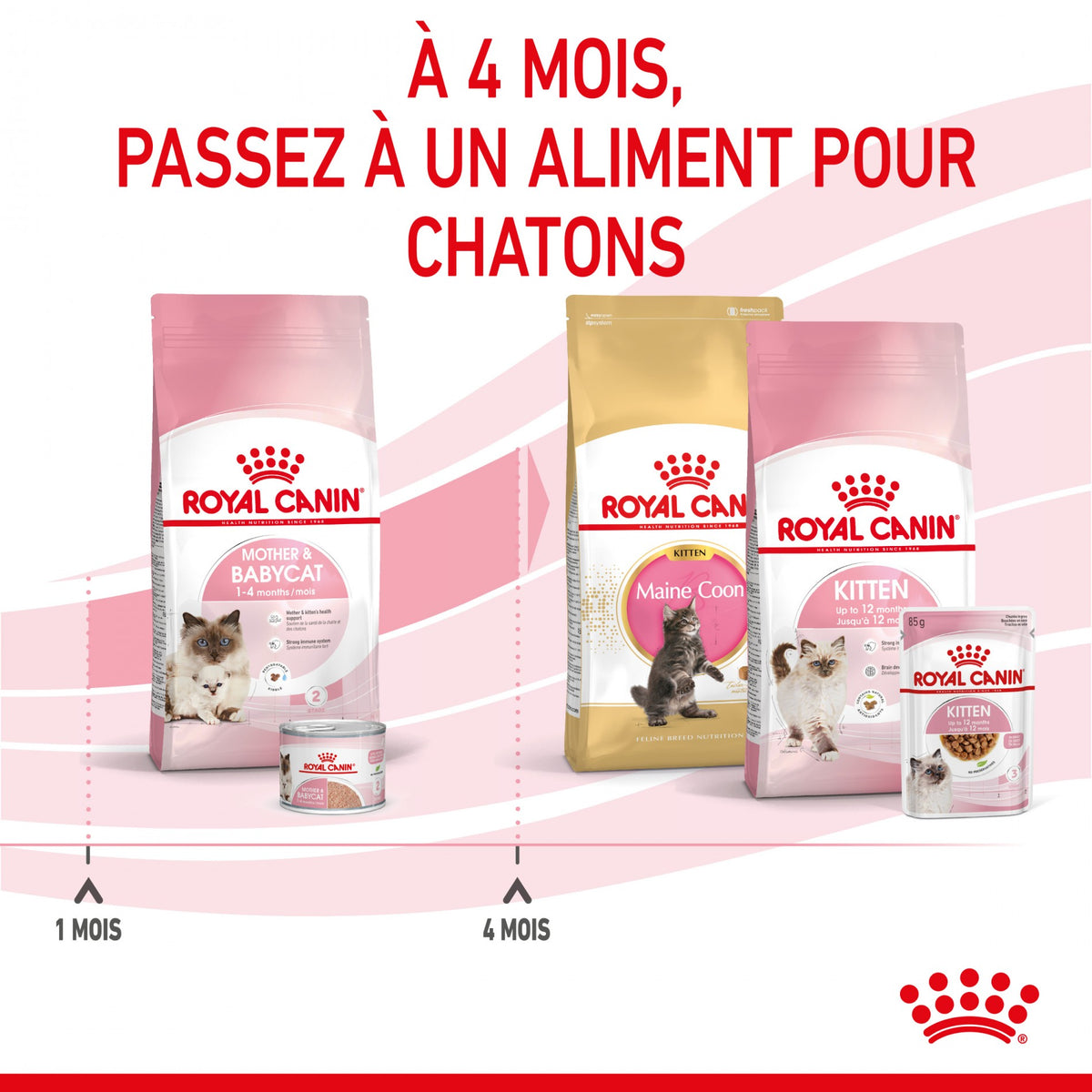 Royal Canin Mother & Babycat - croquettes chatte, chaton