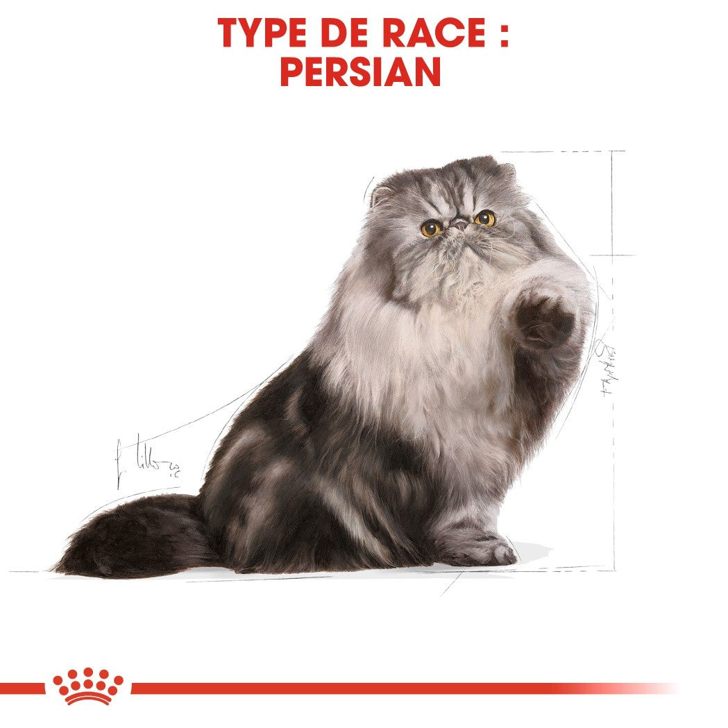 Royal Canin Persian Adult - croquettes chat