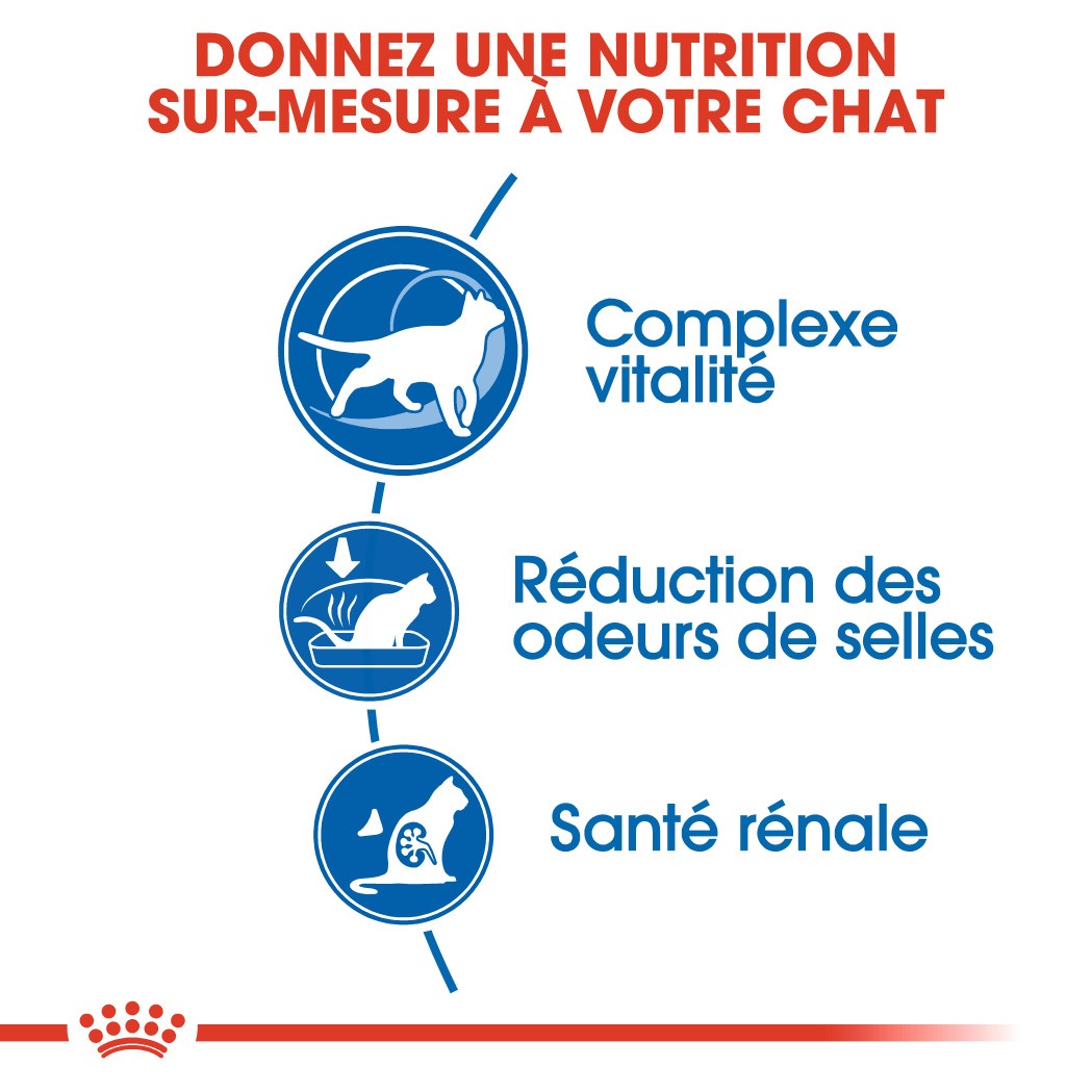 Royal Canin Indoor 7+